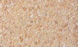 Garbancillo Marfil