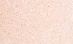 Micro Rosa Valencia